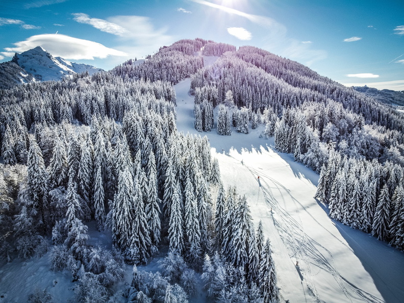 agence immobilière Morzine vacances d'hivers